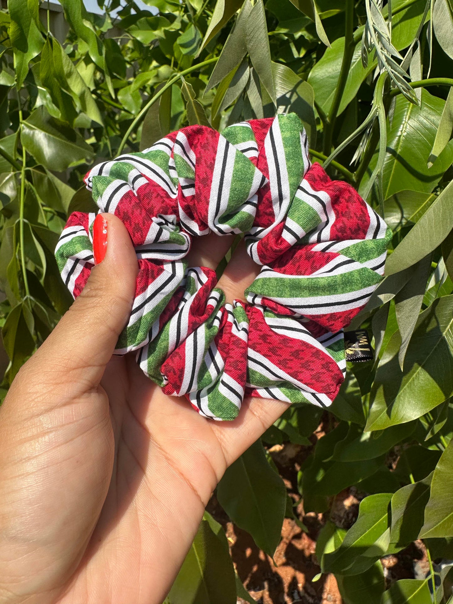 CANDY CANE - Medium