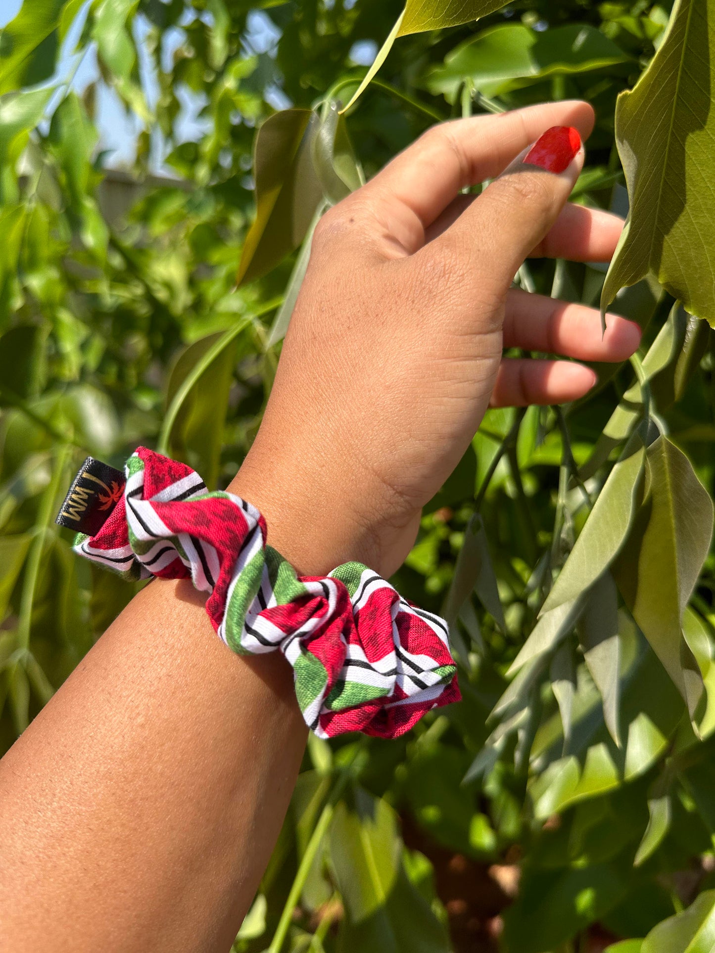 CANDY CANE - Mini